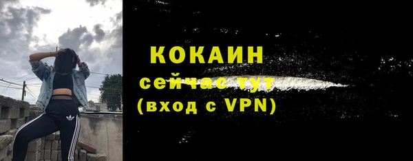 jwh Богородицк
