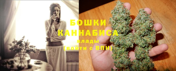 метадон Богданович