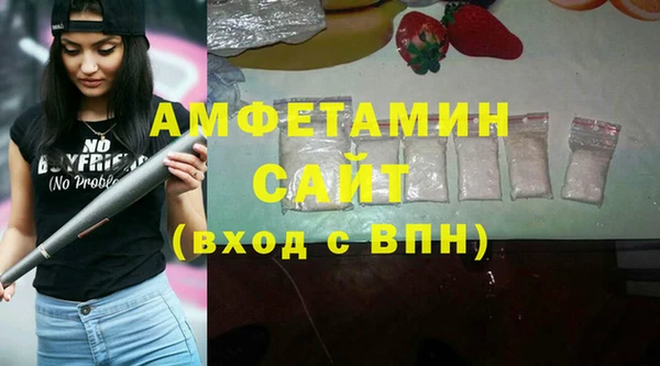 метадон Богданович