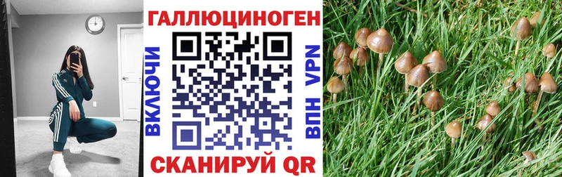 как найти   OMG ONION  Галлюциногенные грибы Cubensis  Егорьевск 